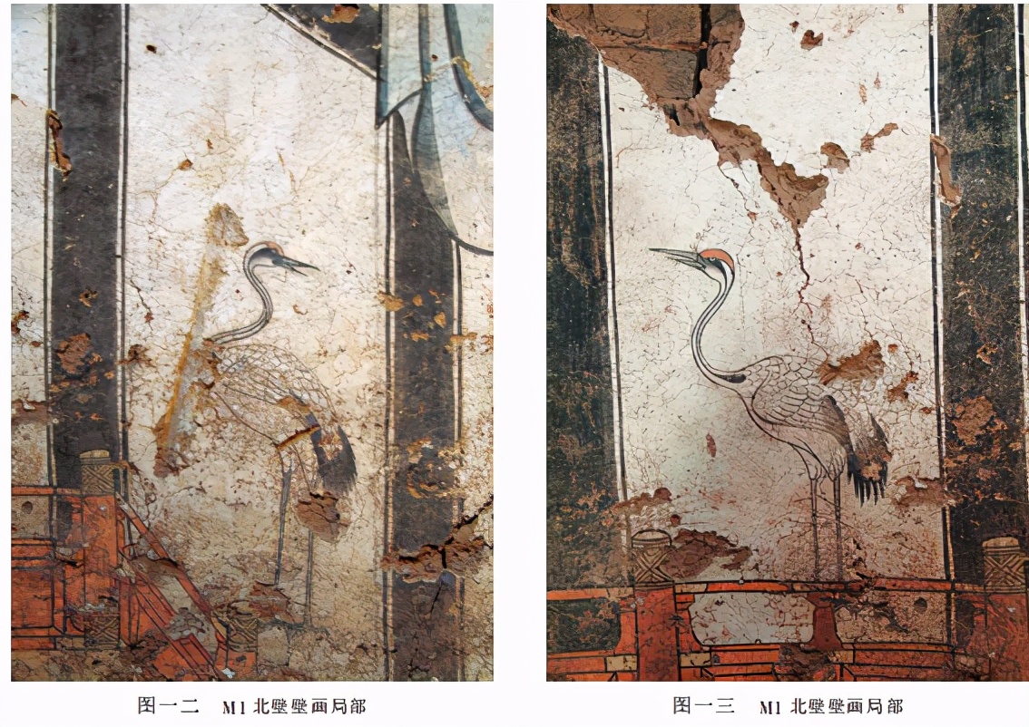 山西沁县上庄金墓发掘简报,辽金古墓发掘