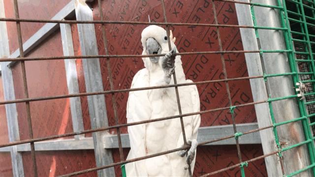 冰雪奇缘的美丽瞬间,冰雪奇缘照进现实