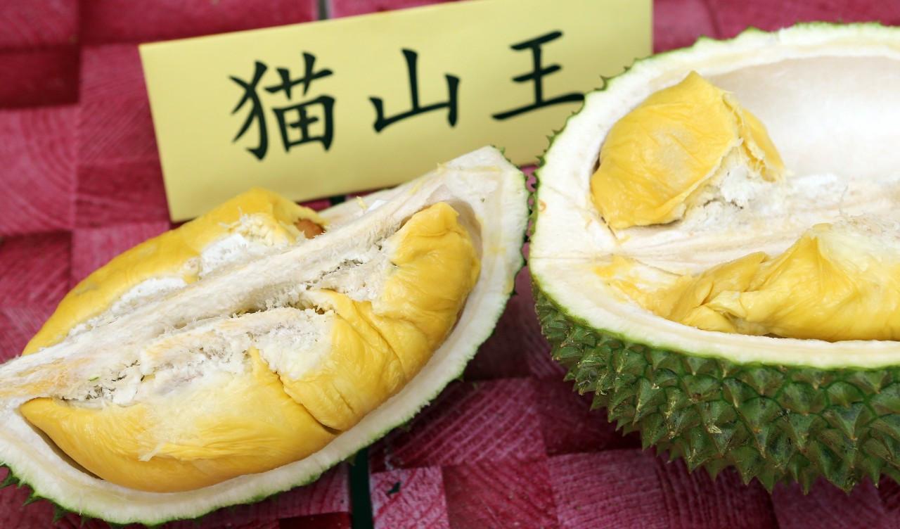 榴莲猫山王和金枕哪个核大,干尧榴莲跟金枕榴莲猫山王