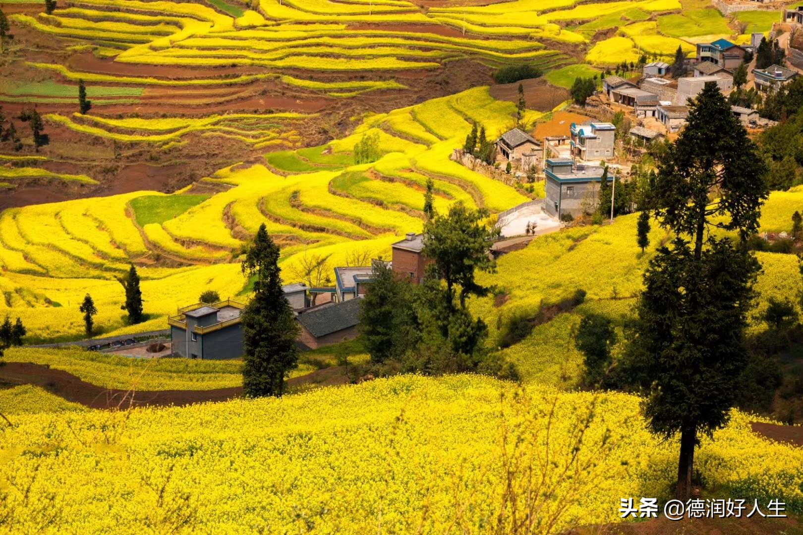 黄果树瀑布和罗平九龙瀑布哪个大,云南罗平九龙瀑布全景