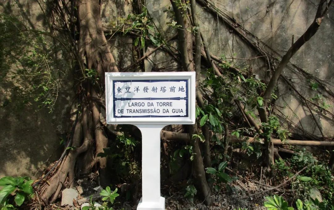 澳门必打卡拍照攻略,来澳门必打卡的店