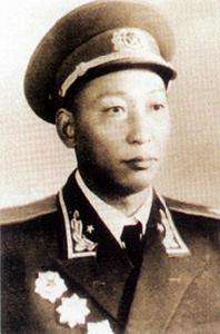 开国将帅特等功,十大最有战功的开国将帅