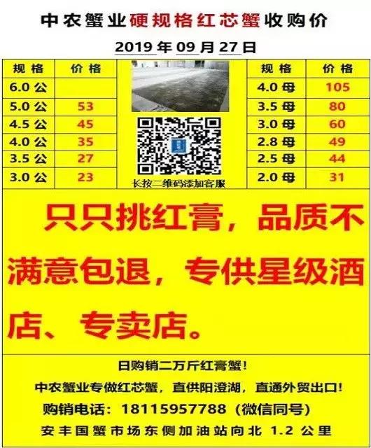 10月2日兴化大闸蟹价格,兴化大闸蟹今日9月18日价格