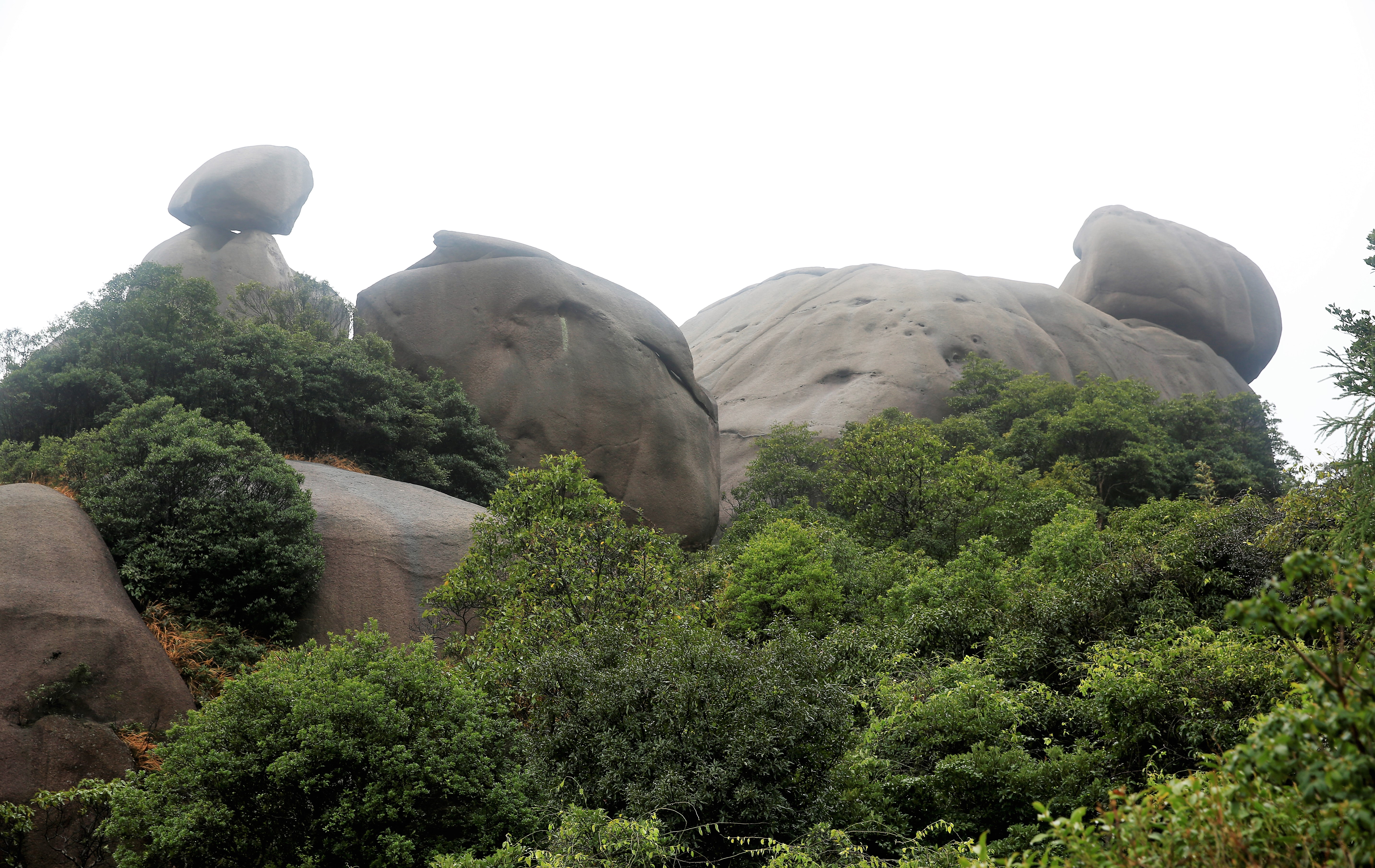 太姥山山顶日出,雨中的太姥山云雾缭绕