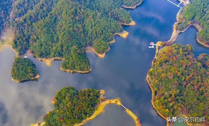 贝克力路亚大师赛总决赛视频,贝克力路亚大师赛2019排名