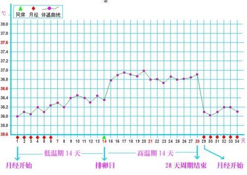 排卵期备孕没怀上正常吗,备孕排卵期怎么安排比较合理