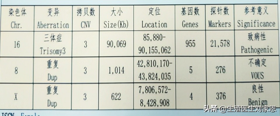 孕期检查什么情况必须做羊水穿刺,无创和羊水穿刺检查项目区别