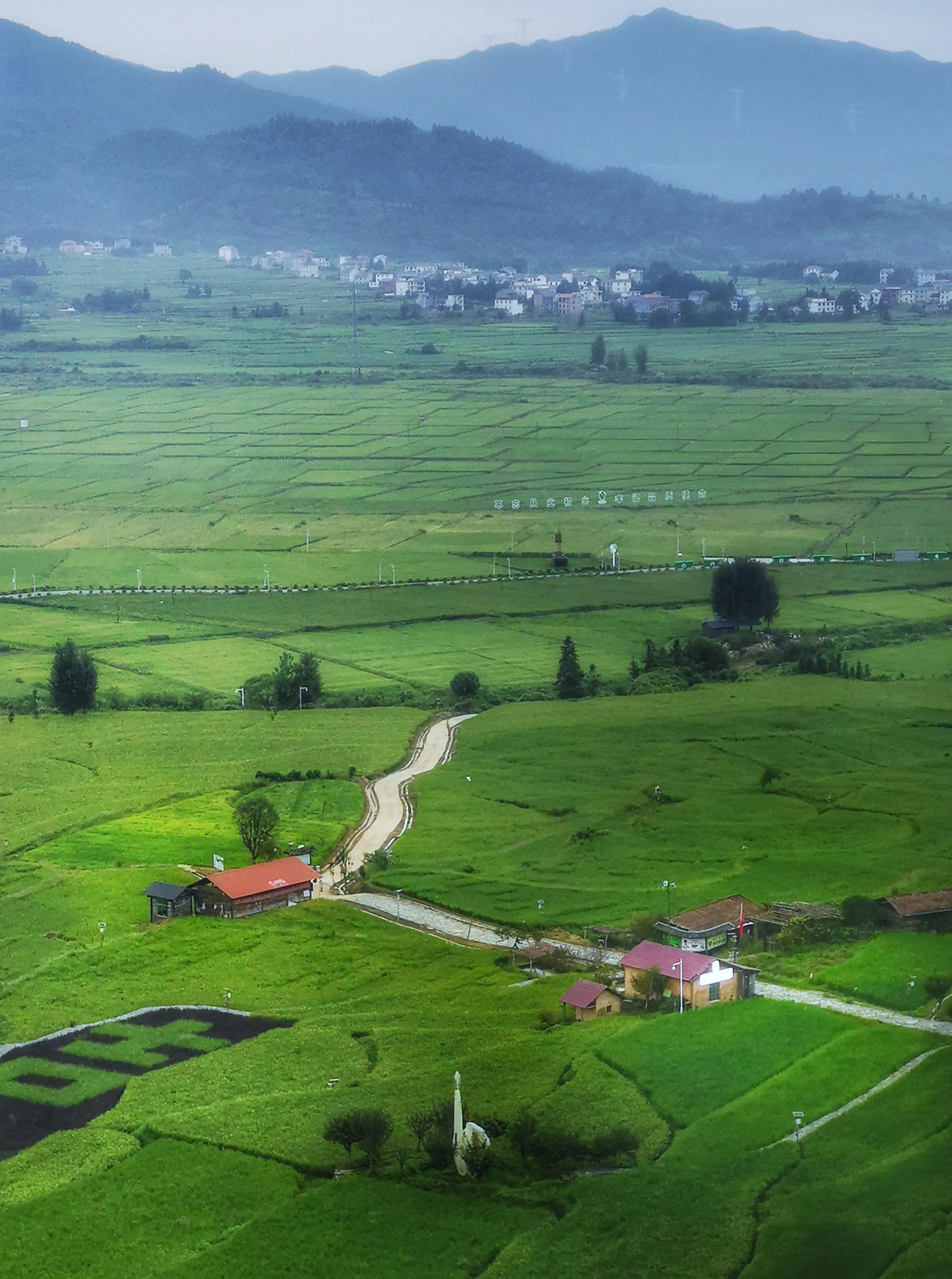 你会去莲花玩吗？我找到了3个“趣味点”，玩了一次跟着喜欢走