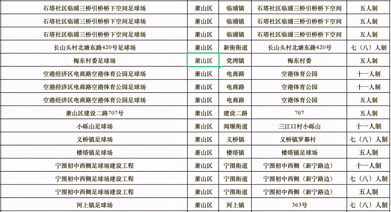 杭州亚运足球场地,杭州有没有标准的足球场