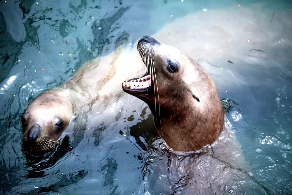 威海五一旅游攻略,五一威海旅游有一起的吗