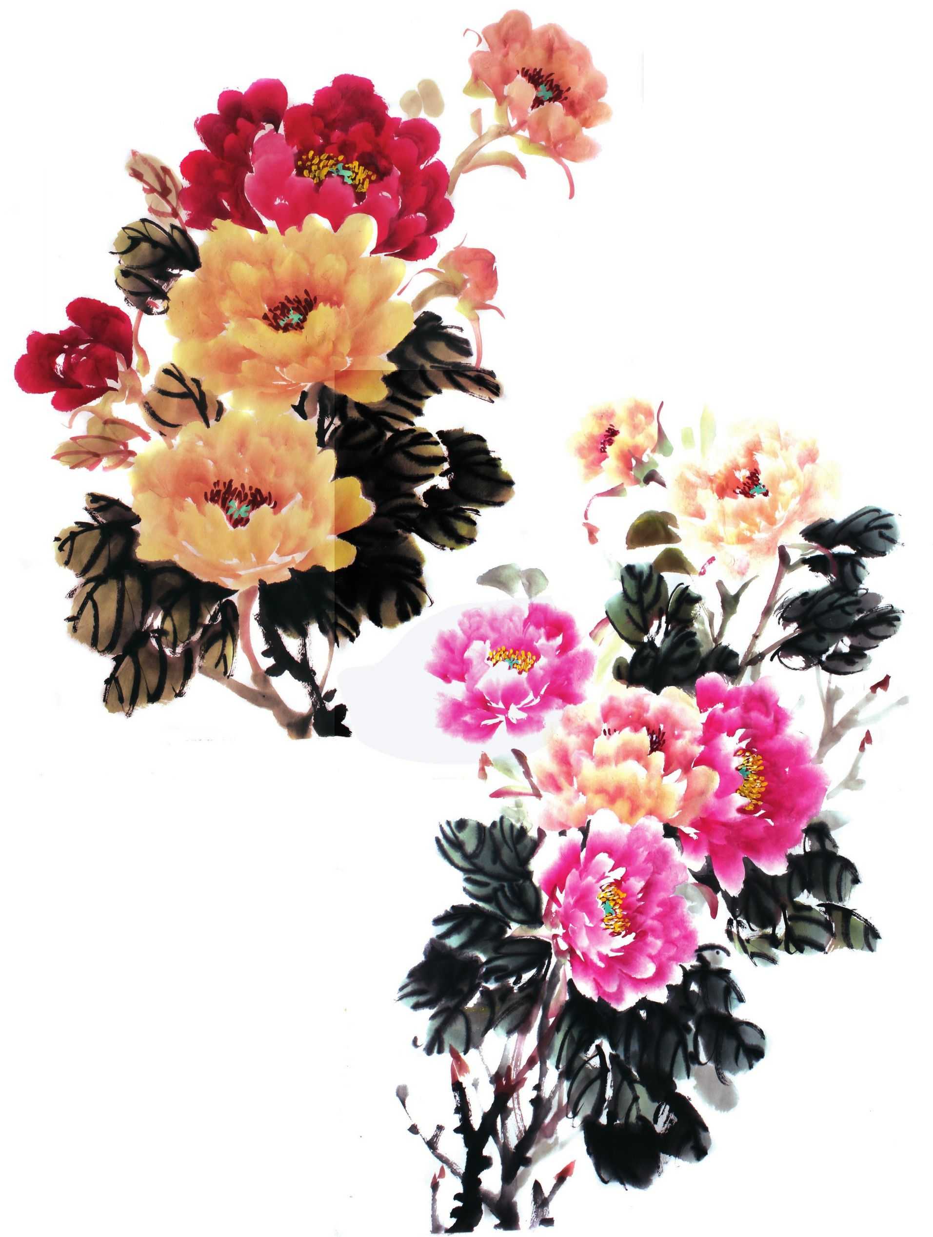 国画零基础牡丹画法步骤图解,国画零基础入门教程牡丹的画法