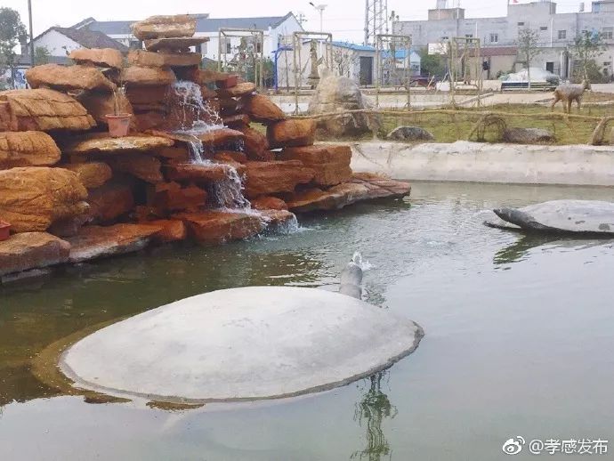 「云聚孝感十抓十促」精彩继续，魅力无边！这样的云梦、应城你们见过吗？