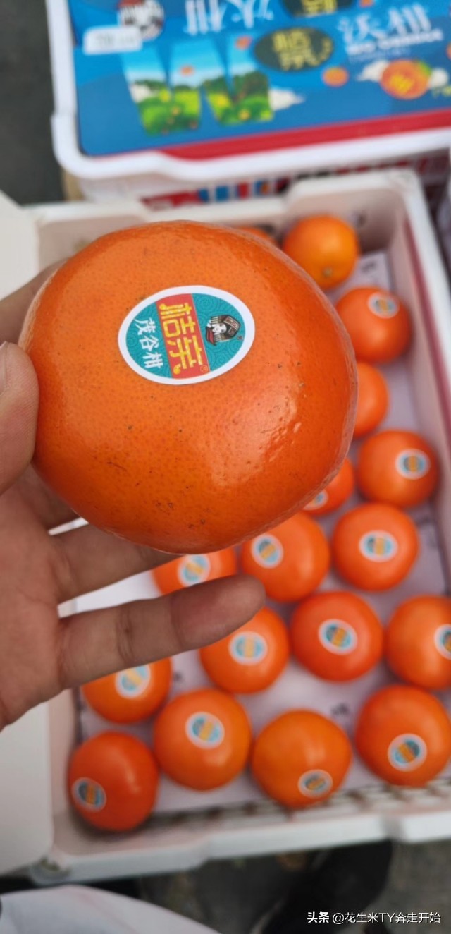 郑州万邦批发市场水果和蔬菜价格,郑州万邦3月10日水果批发市场价格