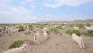 你所不知道的珠宝知识,你所不知道的奢侈品