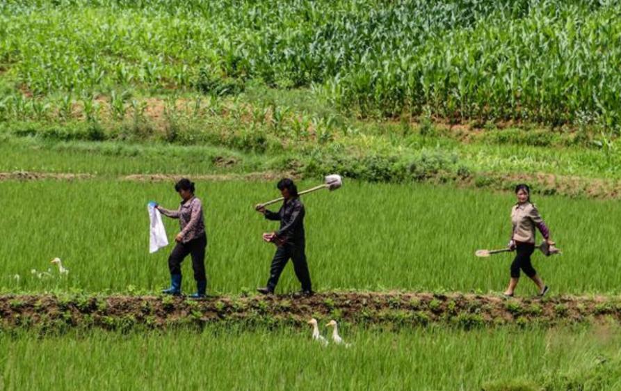 朝鲜的现实生活状况一河之隔,朝鲜曾经有多发达啊