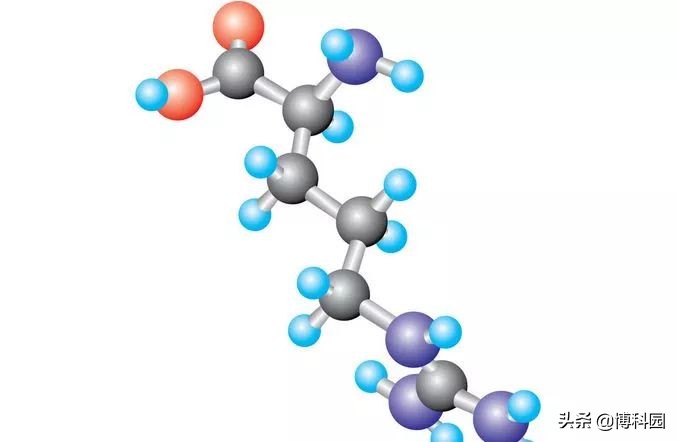 发现创造单链蛋白质纳米结构的新方法