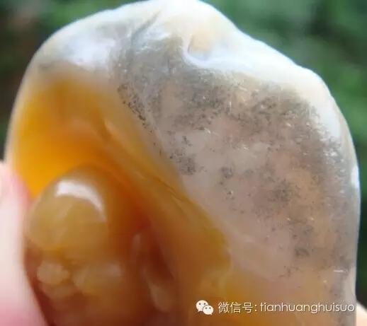 寿山田黄原石真品,怎么鉴别寿山田黄的品质