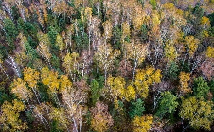 年平均气温25度左右的城市,年平均气温18度城市