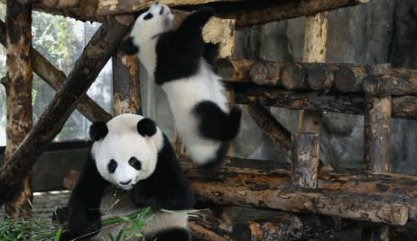 萧县徐州快速通道最新消息,淮徐快速通道经过宿州吗