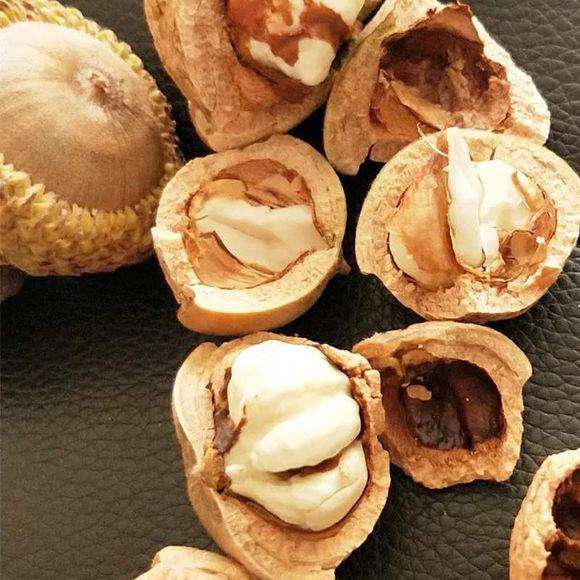 印度神油的主原料壮阳果，你知道它可以食用嘛