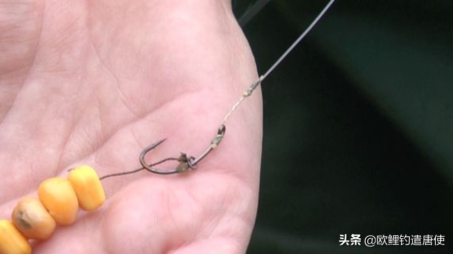 欧鲤钓各种钓组优势,话说欧鲤钓之铅坠篇