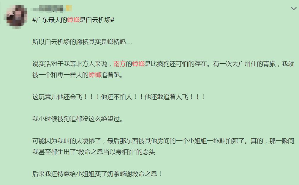 巨型蟑螂南方大蟑螂,广东巨型蟑螂和北方蟑螂对话