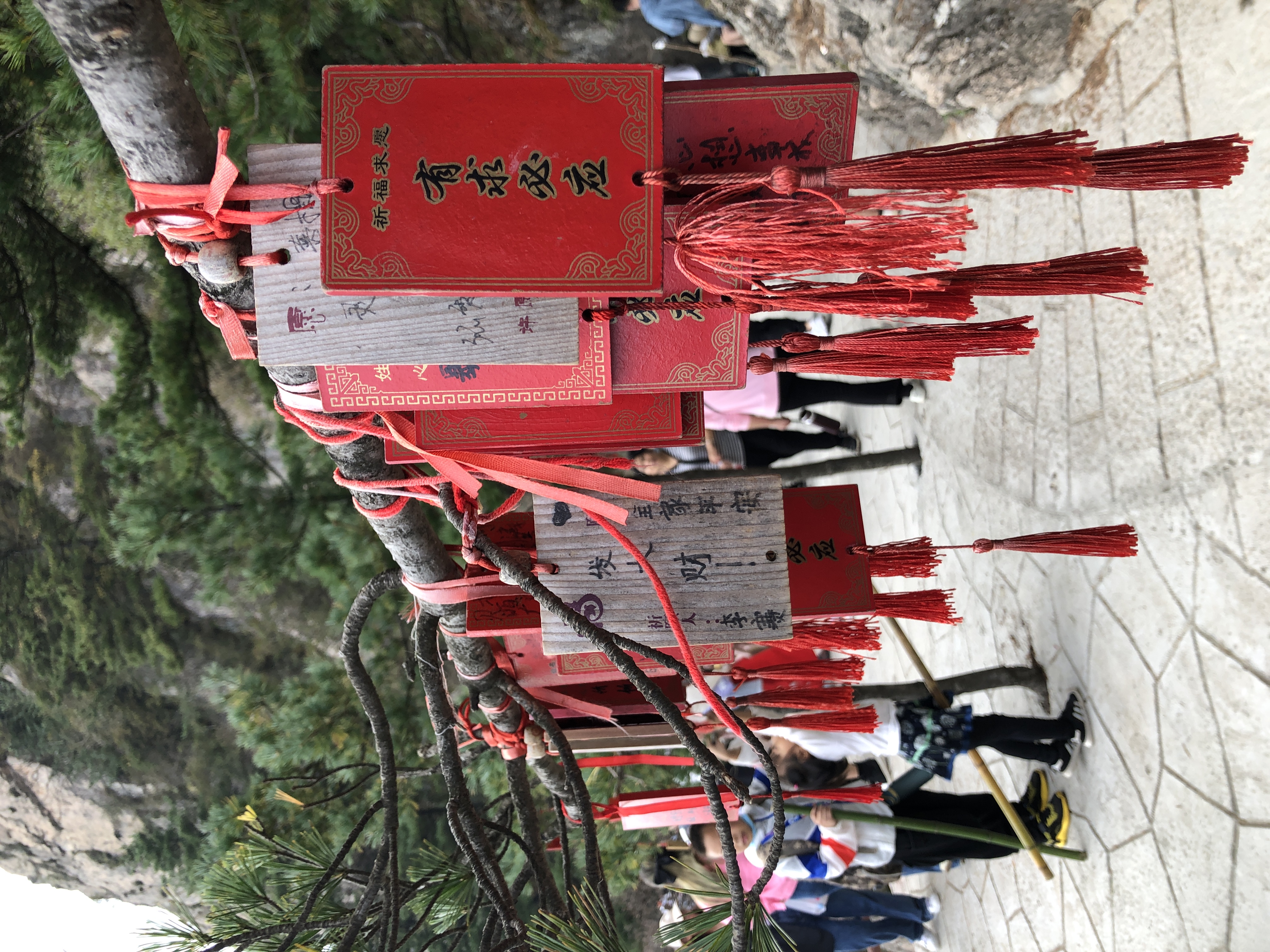 老君山沉浸体验,老君山观感