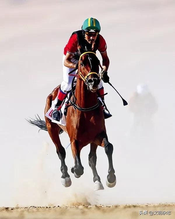 土耳其也门叙利亚,索马里土耳其黎巴嫩乌克兰也门