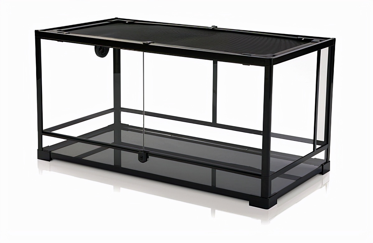 鬃狮蜥饲养箱用什么材料,鬃狮蜥新手入门饲养指南