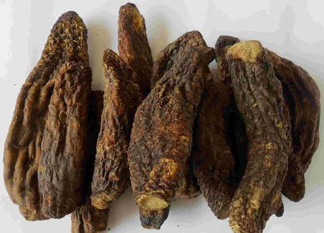 肉苁蓉补肾阳的原理,肉苁蓉在中药补肾壮阳中的地位