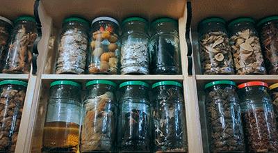 摩洛哥黑魔法,探秘神奇的摩洛哥