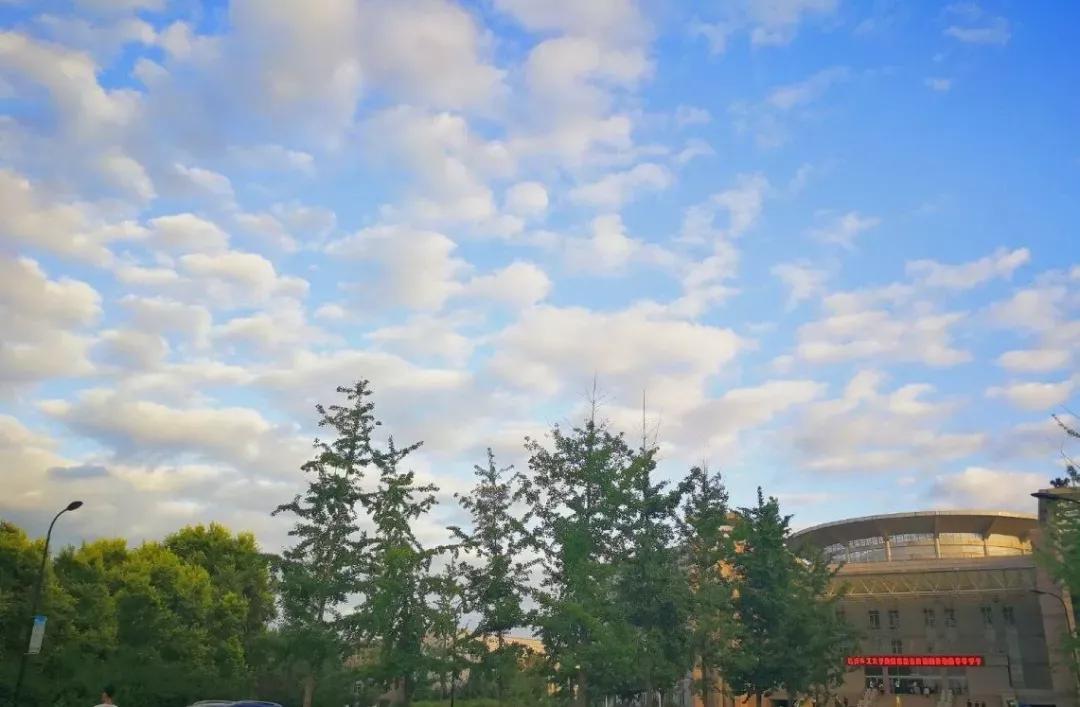 沈阳理工大学辽宁工程技术大学,沈阳理工大学专科院校