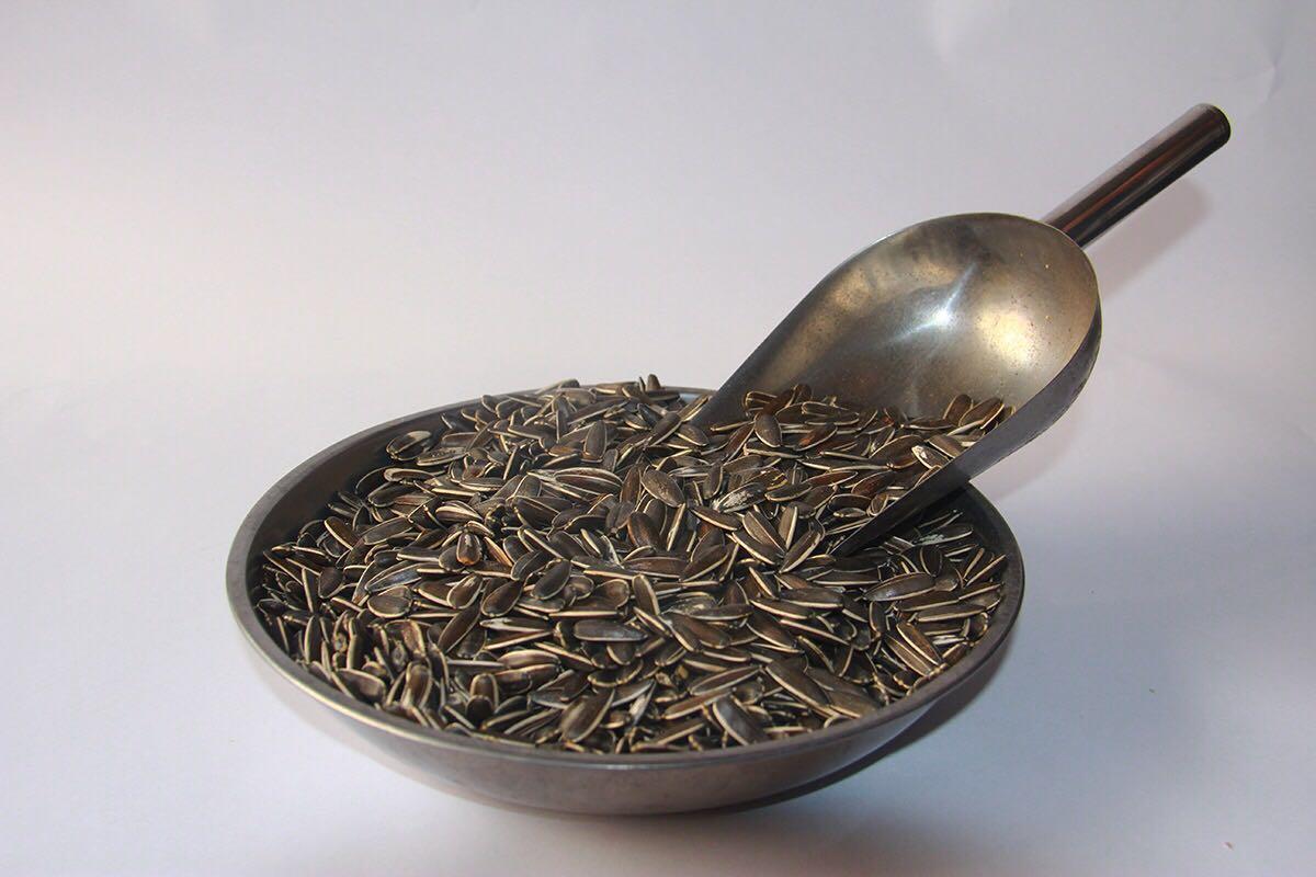 过年的瓜子是什么品种,过年的瓜子糖果好看