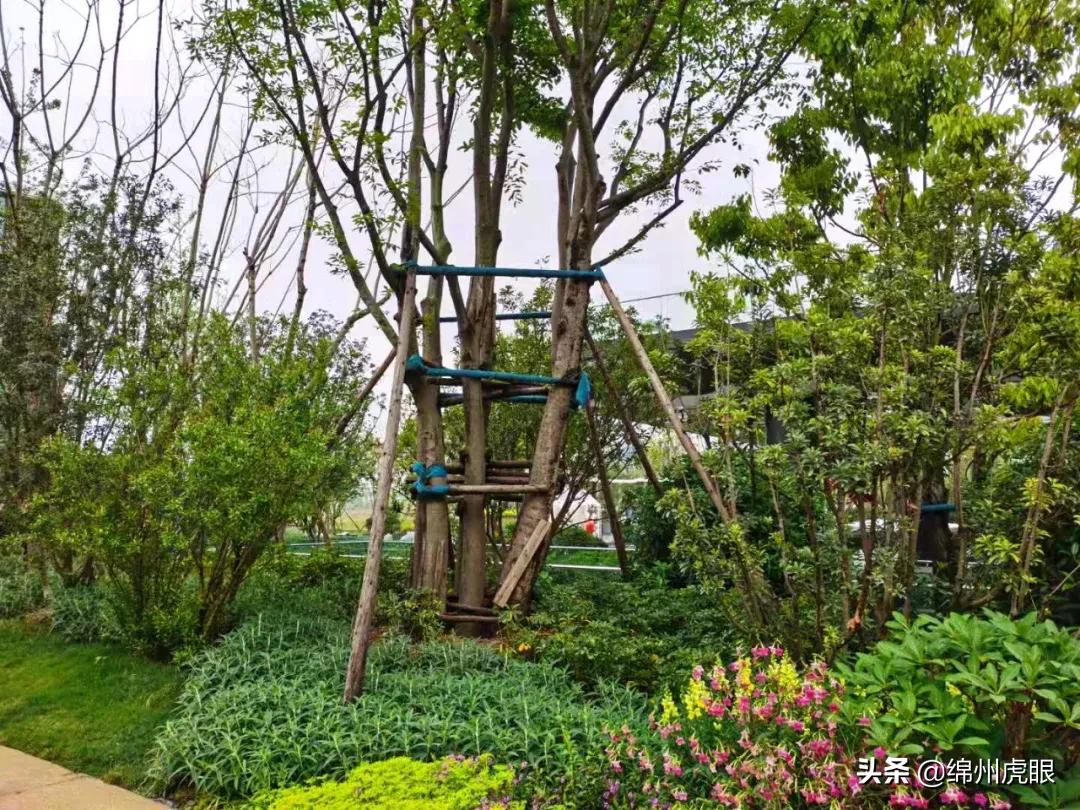 绵阳2021交房的高品质楼盘,绵阳各区域的高端楼盘