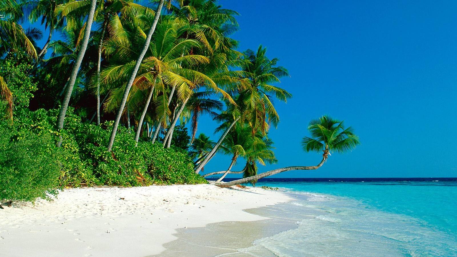 考研最容易的5个冷门985,考研最好考的十大985学校