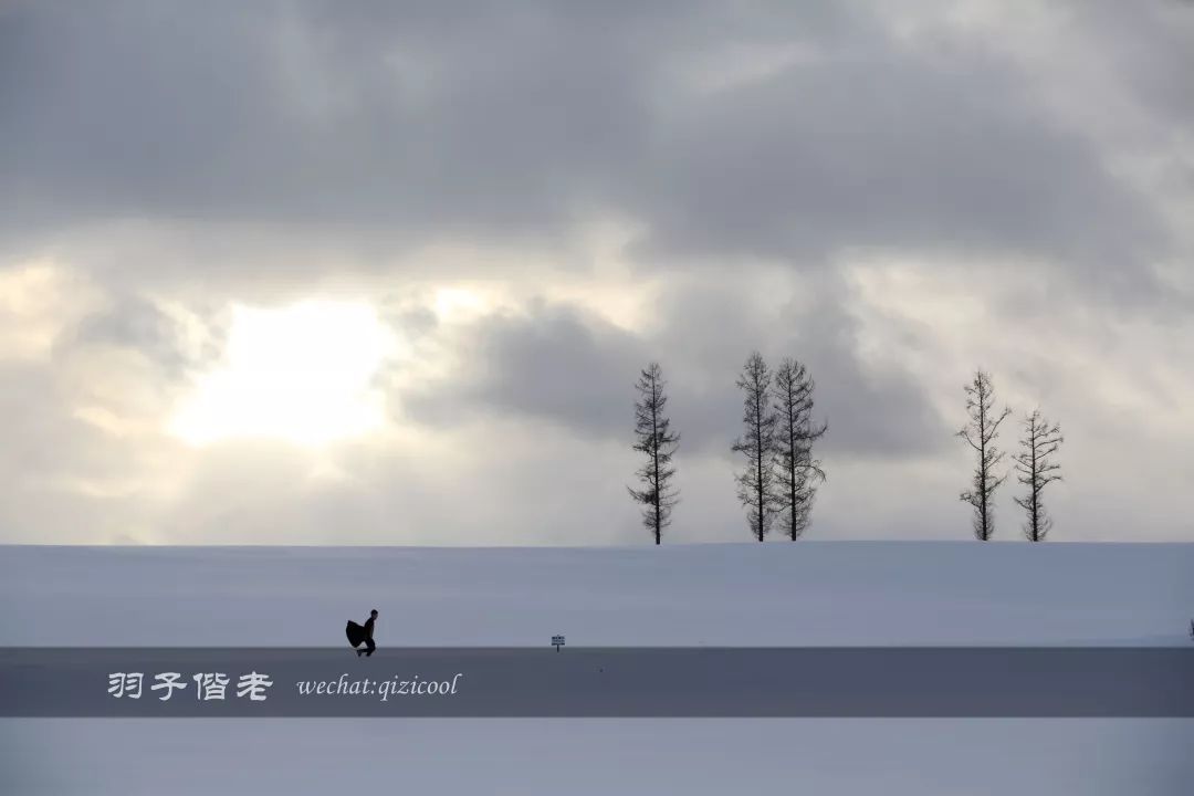 日本10天自由行费用北海道,东京北海道5日自由行攻略