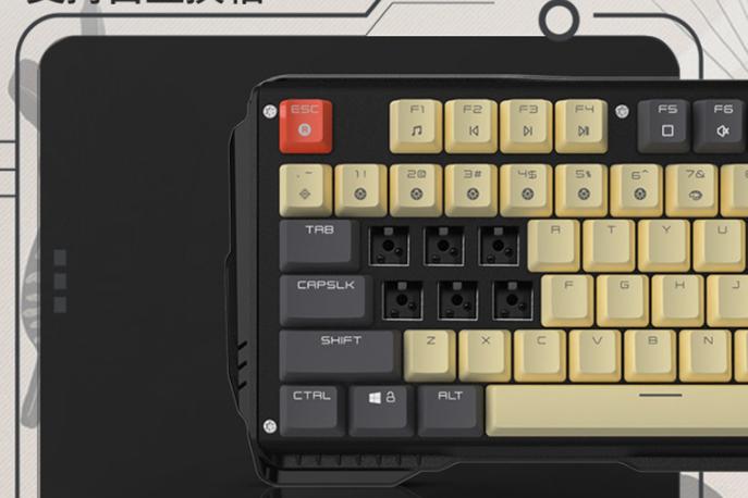 快放假了还能玩的游戏,快放假了能玩什么游戏