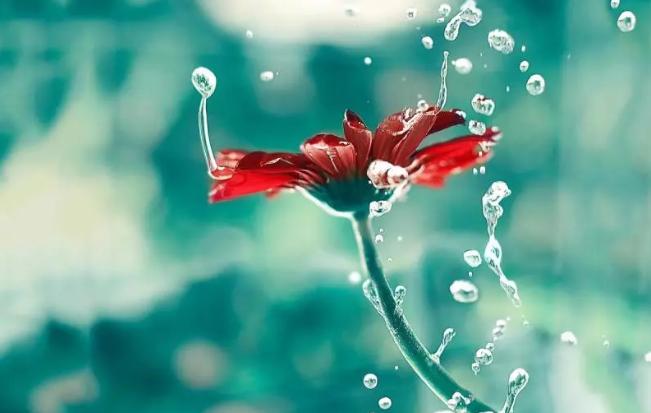 便秘辨证分型,便秘辨证