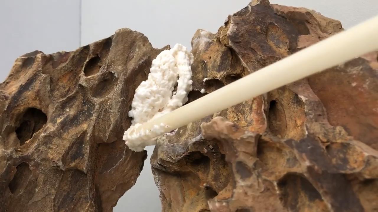 小草缸造景入门水草基本知识,小型草缸造景入门水草基本知识