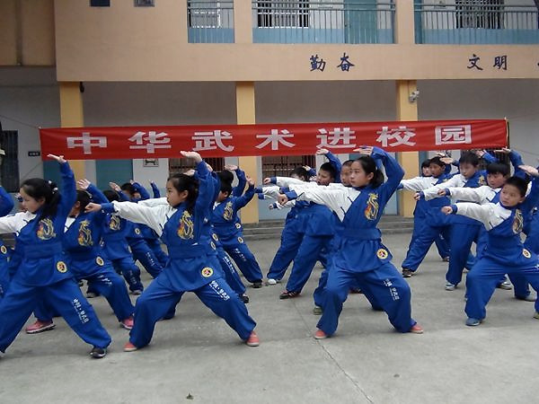 安庆大龙山学校建设,安庆特色素质教育学校