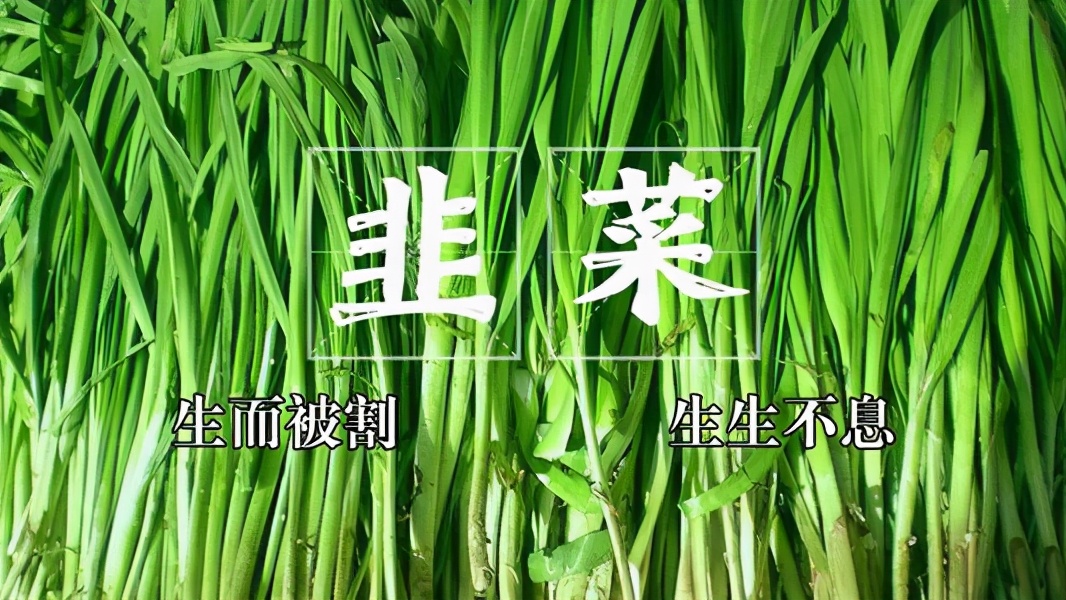 正规期货交易平台会被骗吗,期货交易平台受骗怎么办