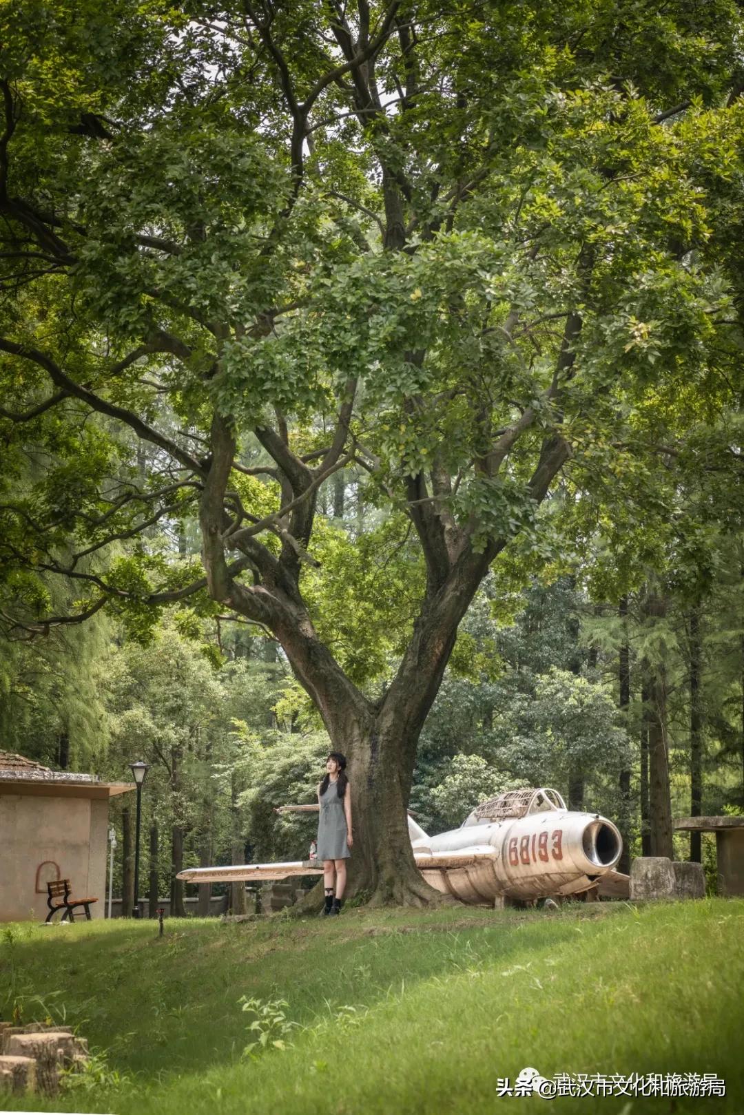 江夏面积多大,关于最美江夏的图片