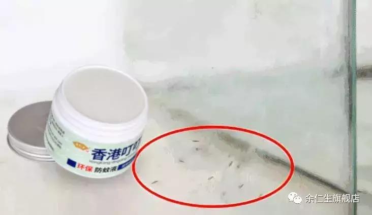 夏天蚊虫来袭,夏天蚊子太多用什么驱蚊神器