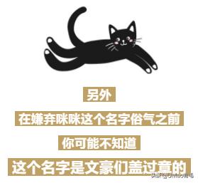 每只猫的名字都能叫出来,一只小公猫的名字