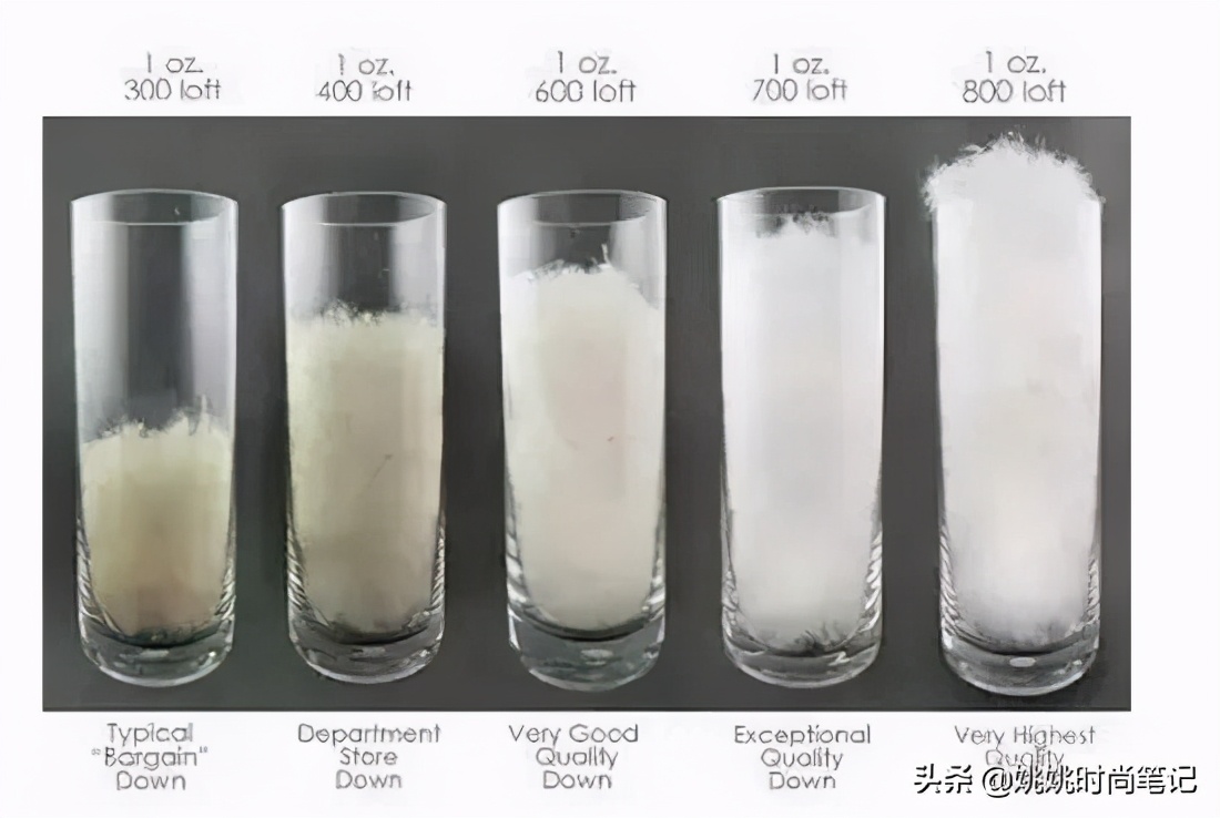 鹅绒的专业知识,羽绒知识的专业讲解