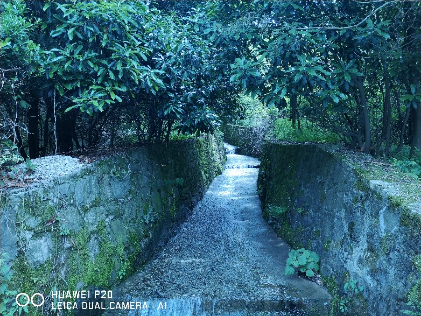 洛阳到华山一日游,洛阳到华山自驾游攻略