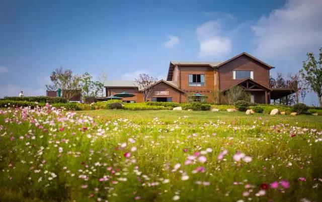 安徽春天美丽的视频,安徽美丽的春天