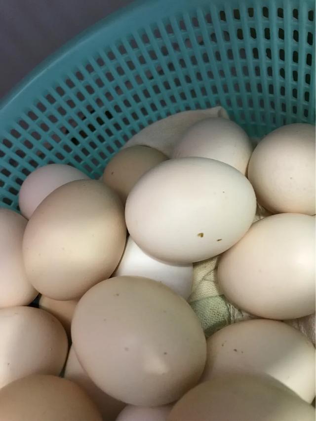 拖地小窍门轻松又干净,生活小窍门总有一个会帮到你