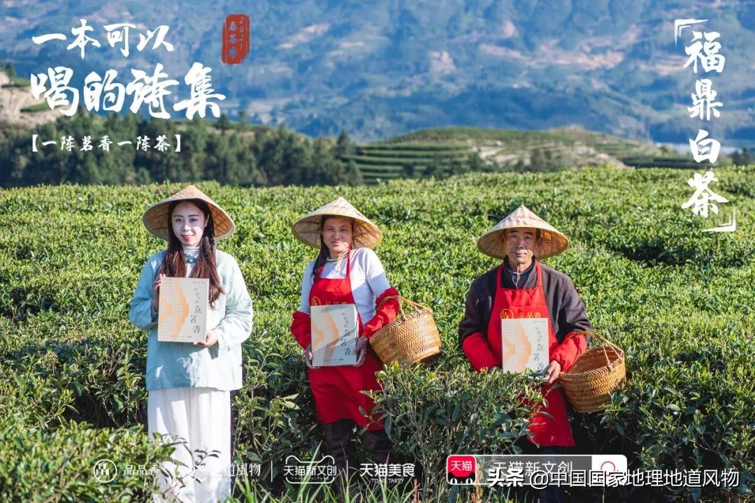 中国茶叶分布图,中国茶区详细分布图