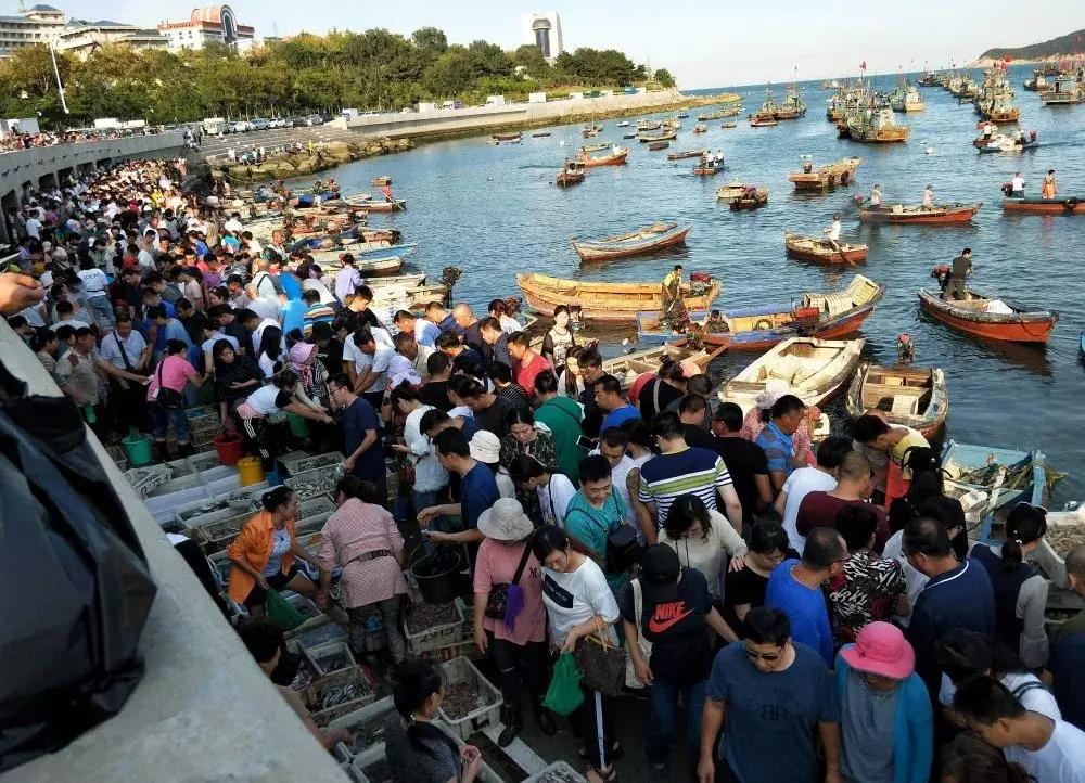 威海海鲜开海期,威海开海海鲜便宜还是贵